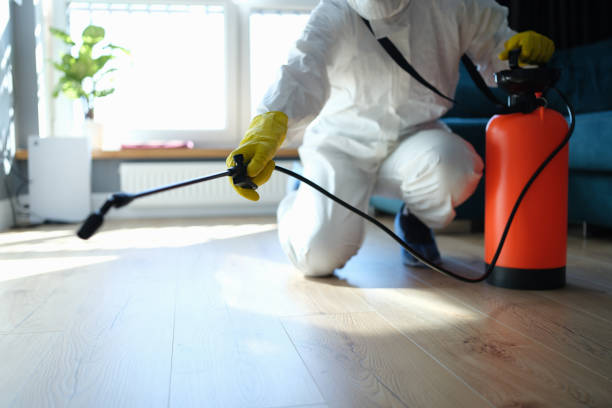 Reliable Odor Removal contractor in Bainbridge Island, WA by Trauma Clean Pros