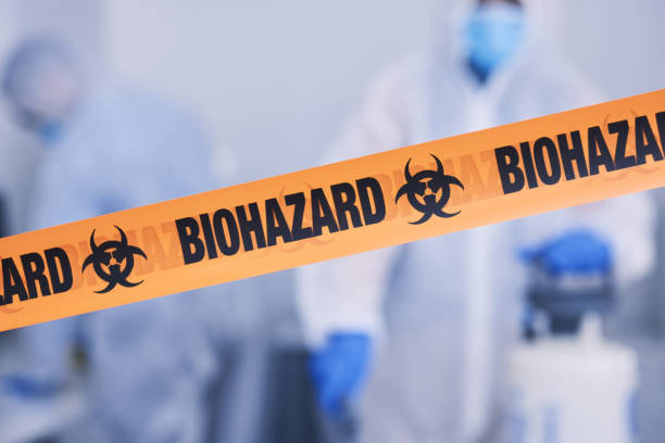 Professional Odor Removal technician working in Bainbridge Island, WA